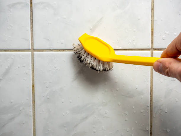 Best Affordable Mold Removal  in Hampton Manor, NY