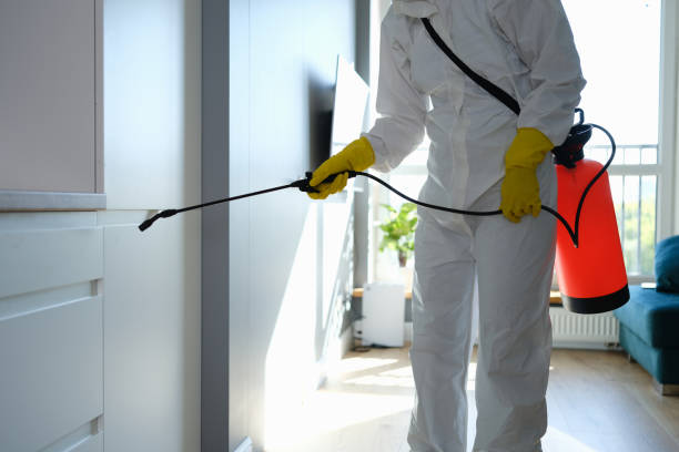 Best Crawl Space Mold Removal  in Hampton Manor, NY