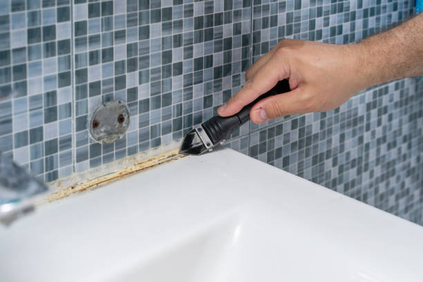 Best Fast Mold Removal  in Hampton Manor, NY